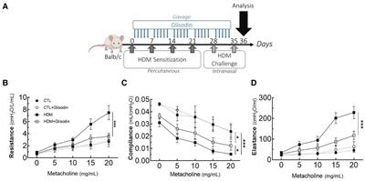 GliSODin® prevents airway inflammation by inhibiting T-cell differentiation and activation in a mouse model of asthma